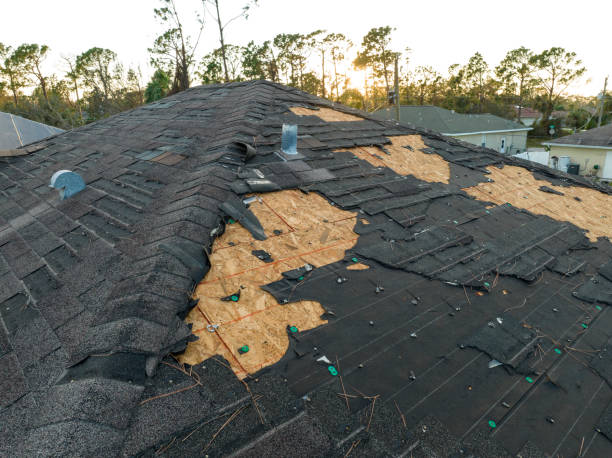 Best Chimney Flashing Repair  in Neosho, MO