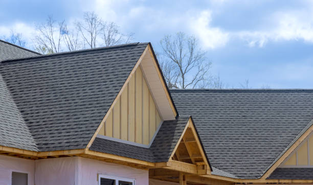 Best Storm Damage Roof Repair  in Neosho, MO
