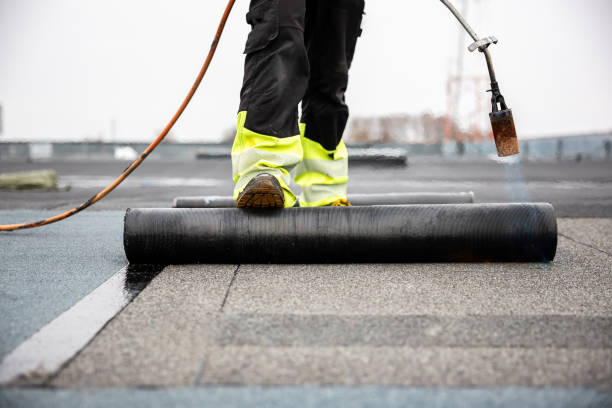 Best Solar Panel Roofing Installation  in Neosho, MO