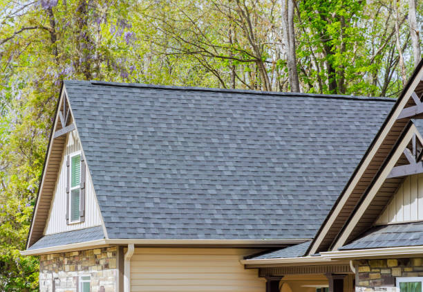 Best Commercial Roofing Services  in Neosho, MO