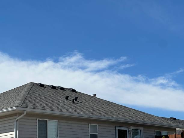 Best Roof Moss and Algae Removal  in Neosho, MO